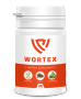 Wortex